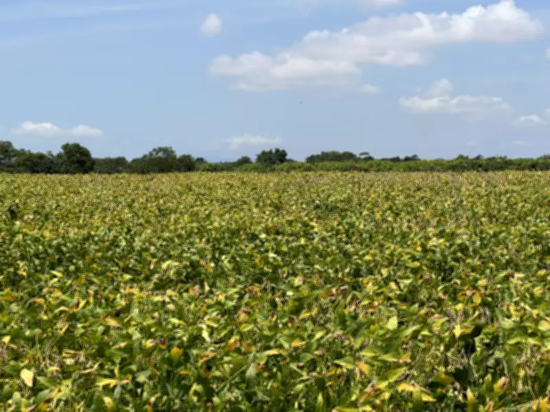 PIB de Minas Gerais cresce 1,4% em 2025, alcançando R$ 1,157 trilhão