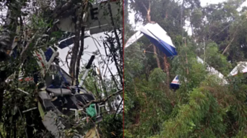 Piloto morre após avião monomotor cair em área rural de Piên durante chuva forte