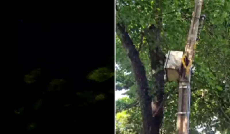 Piracicaba: Praça sem iluminação há dois meses após queda de árvore danificar rede elétrica