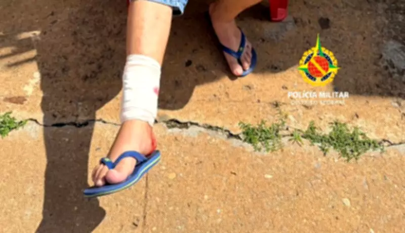 Pitbull ataca homem e mata outro cão no Paranoá, no DF; polícia neutraliza animal