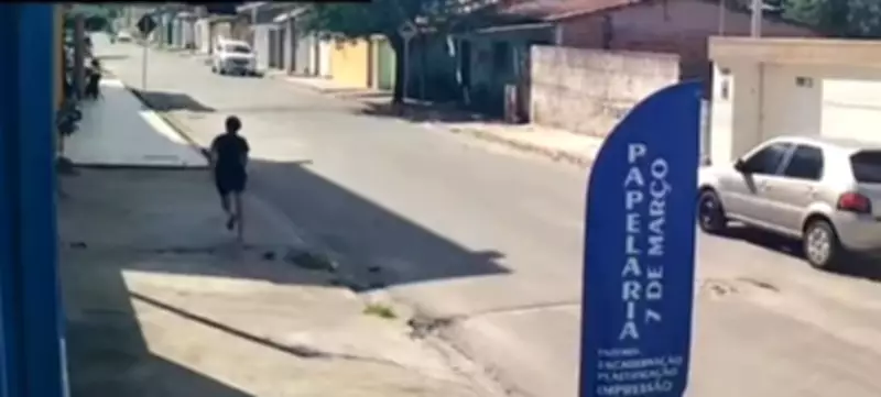 Pitbull solto ataca e mata pinscher durante passeio com criança de 7 anos em Arapiraca