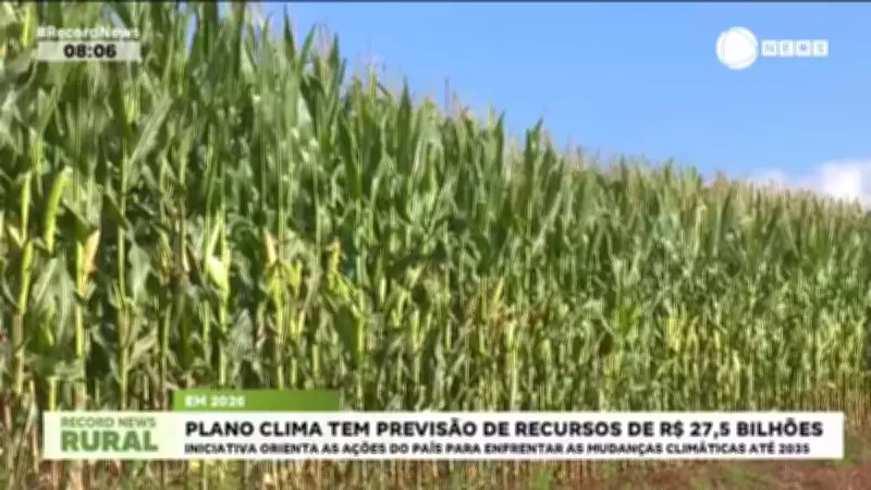 Plano Nacional de Mudança do Clima tem orçamento de R$ 27,5 bilhões para ações até 2035