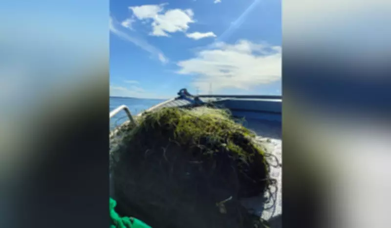 Polícia Ambiental apreende 450 metros de redes e devolve 40 kg de peixes ao Rio Paraná