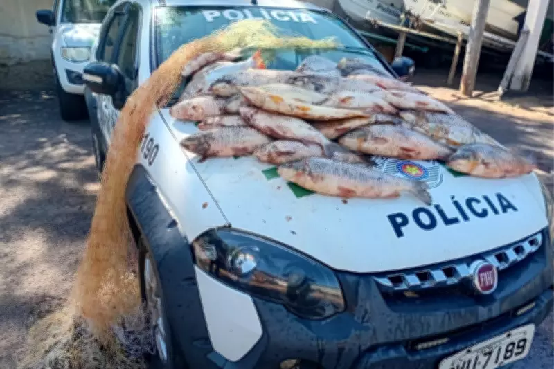 Polícia Ambiental apreende 62,5 kg de peixes em pesca ilegal no Rio Aguapeí, em Lucélia