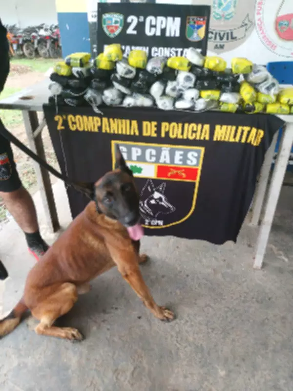 Polícia apreende 52 tabletes de pasta base de cocaína escondidos em mala em barco no Amazonas