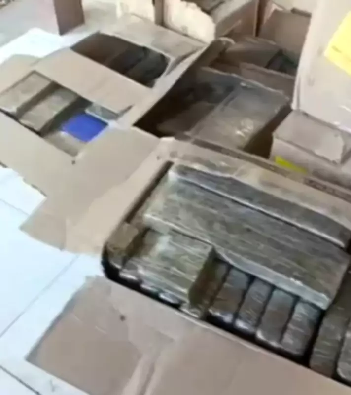 Polícia apreende cerca de 400 quilos de maconha em residência de Arapiraca