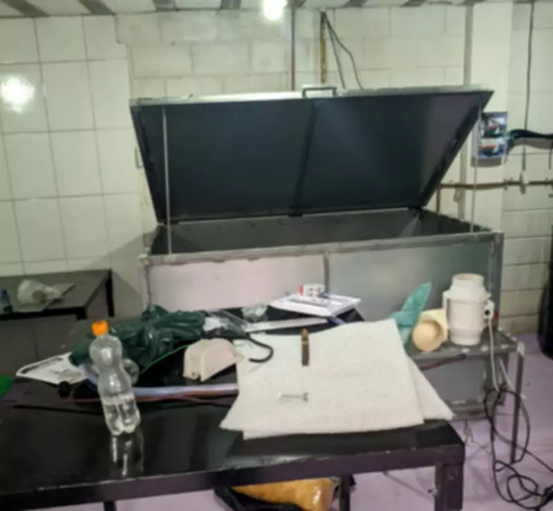 Polícia apreende cogumelos alucinógenos e equipamentos em galpão de Ubatuba