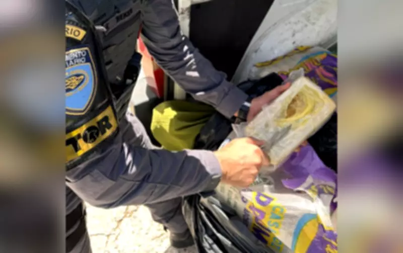 Polícia apreende mais de 400 kg de cocaína na SP-280 em Porangaba e prende três homens