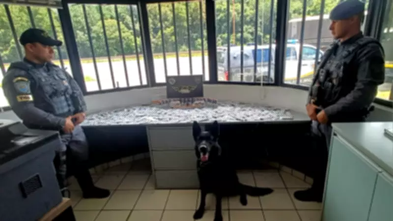 Polícia apreende R$ 2 milhões em medicamentos importados ilegais em rodovia de Itu