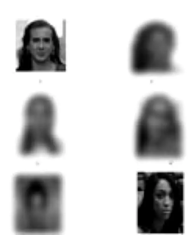 Polícia de Pernambuco usa fotos de deputadas em álbum de suspeitos; caso gera revolta e investigação
