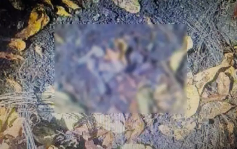 Polícia investiga origem de fragmentos ósseos encontrados em terreno baldio após incêndio em Presidente Prudente