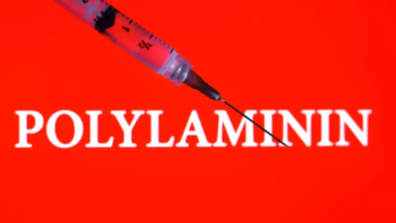 Polilaminina da UFRJ: esperança para lesão medular avança para testes em humanos