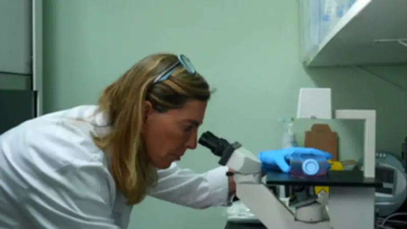 Polilaminina: Hospital de Itapira (SP) coleta placentas para pesquisa inovadora em lesão medular