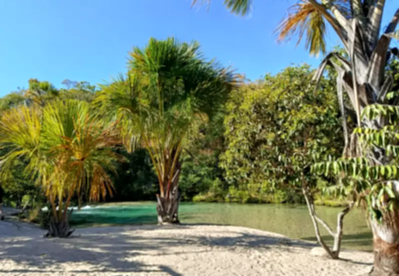 Praia do Pequizeiro: O refúgio natural do Tocantins onde o silêncio é regra de ouro