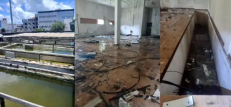 Prédio abandonado ao lado de escola provisória em Belém tem focos de dengue e gera protesto