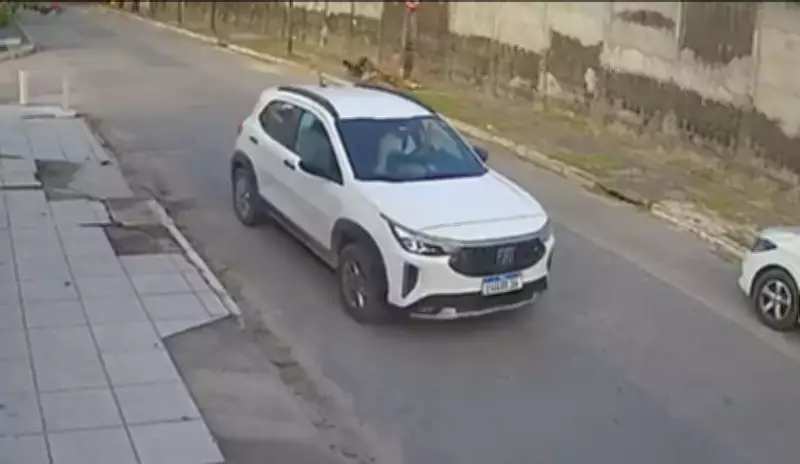 Presa quadrilha especializada em roubo de carros na Zona Norte do Recife
