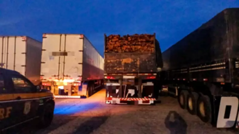 PRF apreende 100 m³ de madeira ilegal no Sertão de Pernambuco em operação na BR-232