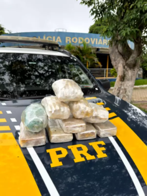 PRF apreende mais de 11 kg de pasta base de cocaína escondida em painel de carro na Dutra, em Piraí