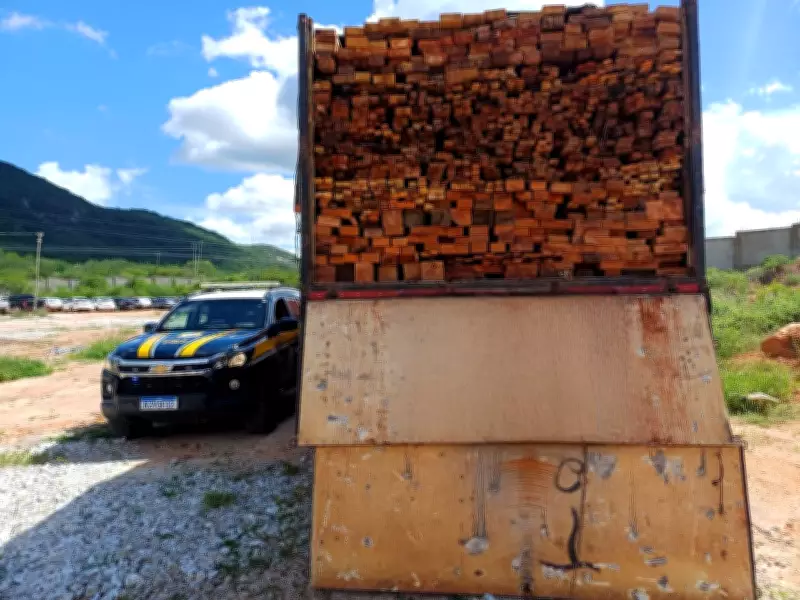 PRF apreende mais de 210 m³ de madeira ilegal em operação no Sertão de Pernambuco