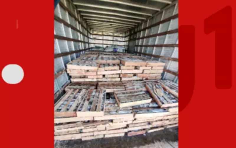 PRF apreende nove toneladas de peixe transportadas irregularmente em Milagres, Bahia