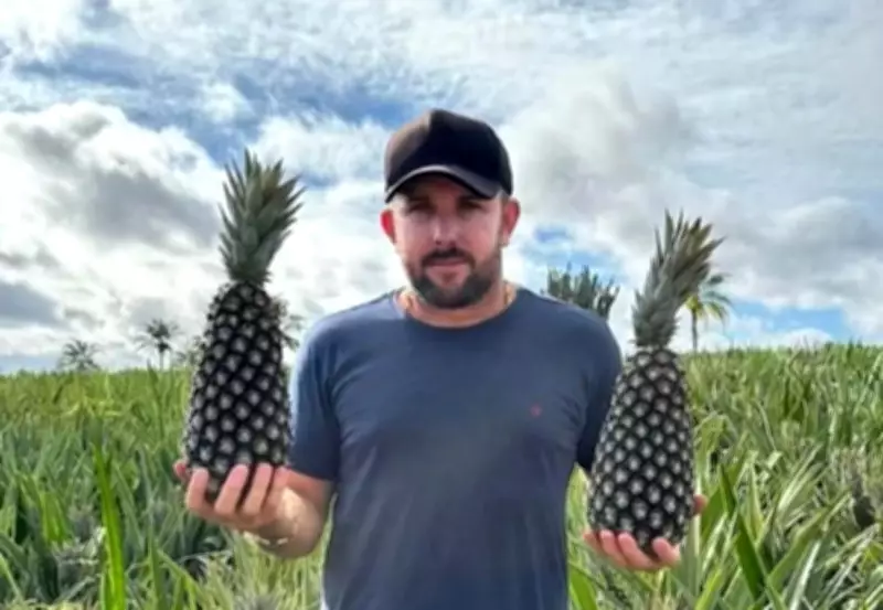 Produtor de abacaxi é assassinado em disputa comercial; mandante preso e executores mortos