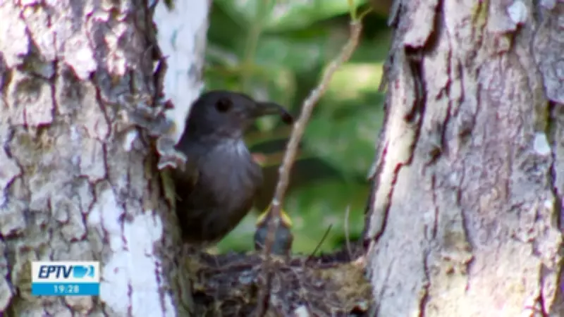 Programa EPTV 2 Sul de Minas exibe reportagens especiais neste sábado