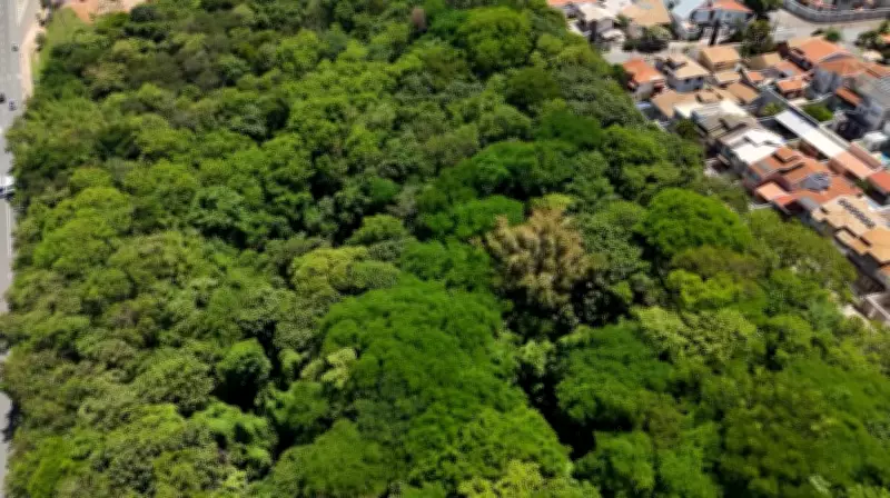 Projeto 'Cidade Esponja' em Campinas usa natureza para combater enchentes e escassez hídrica
