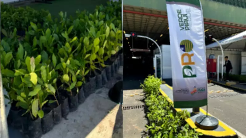 Projeto ProVerde distribui 15 mil mudas para arborização de Teresina