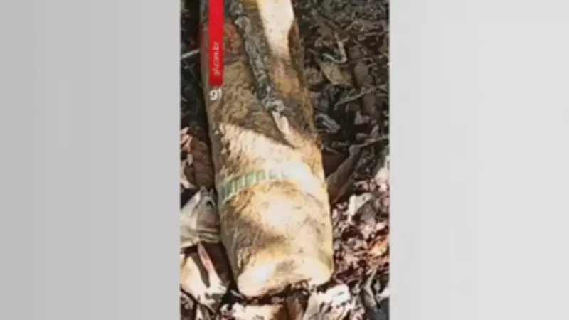 Projétil de canhão de 75 mm é encontrado dentro de empresa em Salto de Pirapora