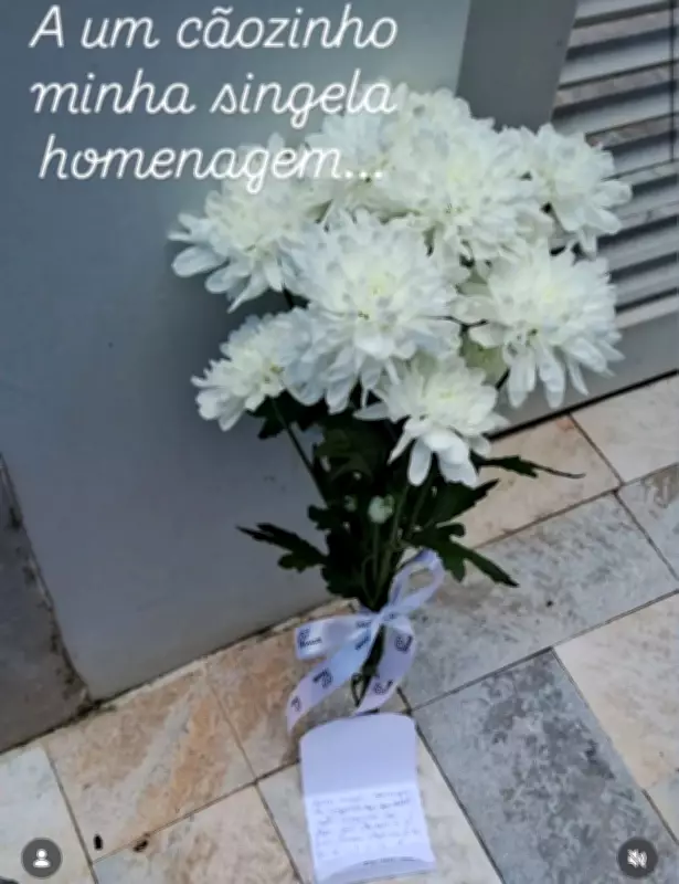 Protetora homenageia cão assassinado com flores e carta em Pará de Minas