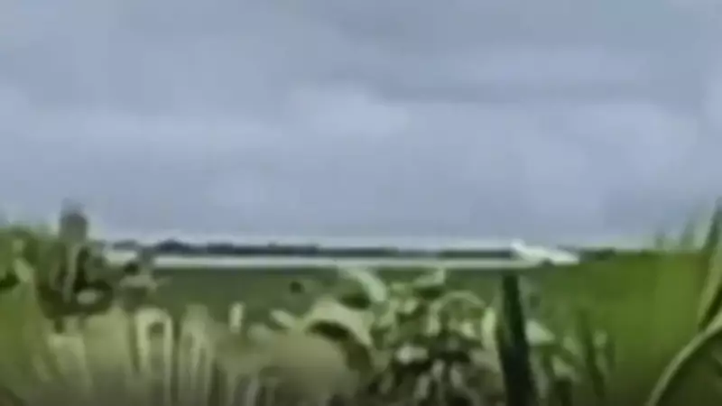 Quilombolas denunciam pulverização aérea de agrotóxicos sobre casas e roças no Maranhão