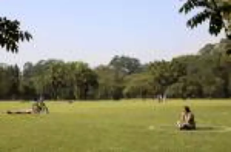 Áreas verdes urbanas são infraestrutura essencial para saúde física e mental, alerta especialista