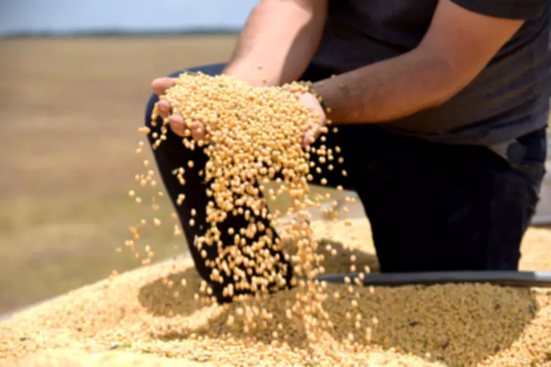 Regularização fundiária impulsiona recordes no agronegócio de Roraima