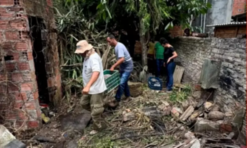 Resgate de 100 jabutis em casa abandonada mobiliza órgãos ambientais na Bahia