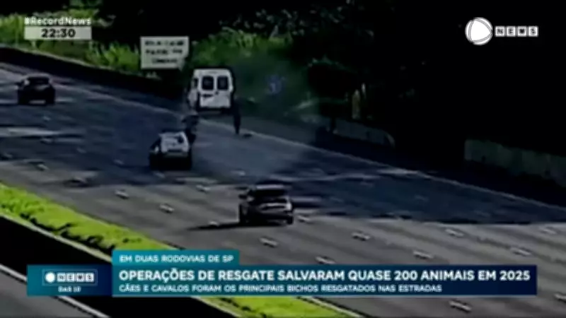 Resgate de quase 200 animais em rodovias de São Paulo mobiliza equipes em 2025