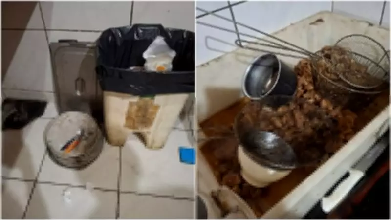 Restaurante em Fortaleza é interditado após encontrar larvas, baratas e alimentos irregulares