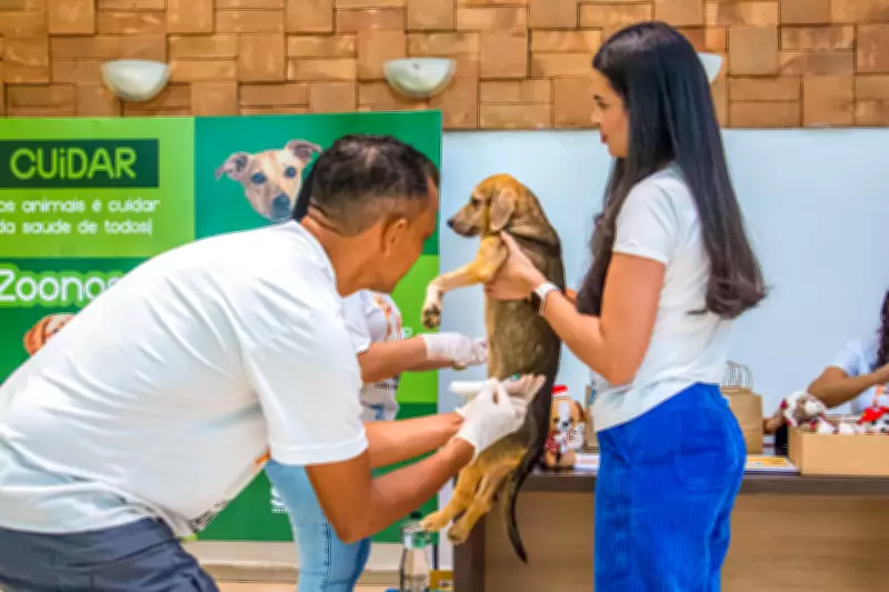 Rio Branco promove vacinação antirrábica gratuita para cães e gatos neste fim de semana