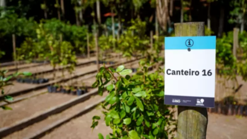 Rio inaugura segunda fase da Fábrica de Árvores com homenagem a servidor ambiental