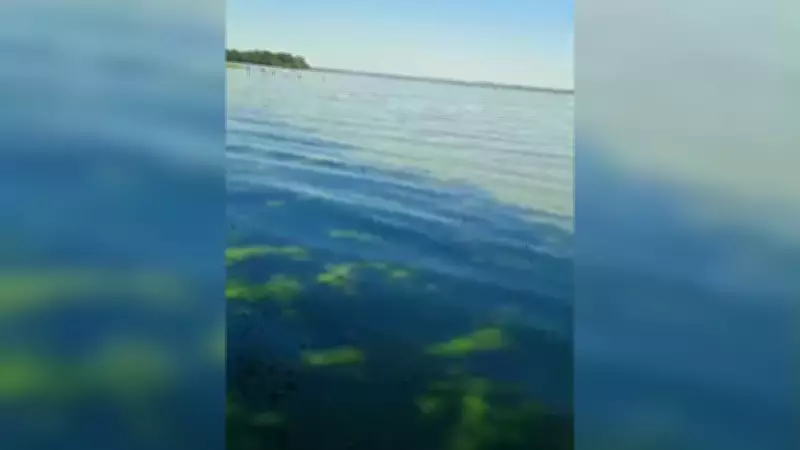 Rio Tietê apresenta coloração verde em Adolfo (SP) devido à eutrofização