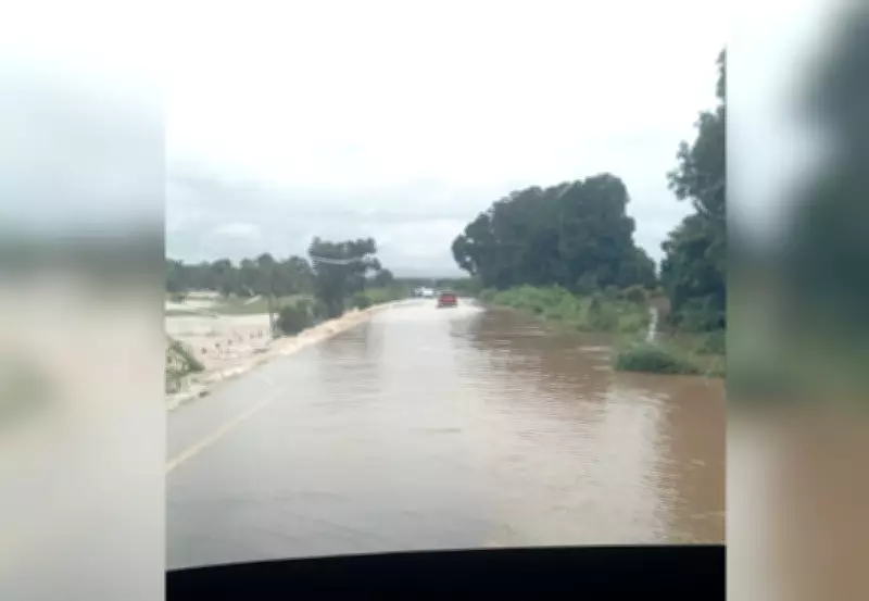 Rodovia TO-201 fica alagada após córrego transbordar no Tocantins; motoristas se arriscam