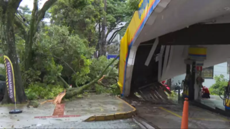 Árvore de grande porte cai sobre posto de combustíveis e carro em Belo Horizonte