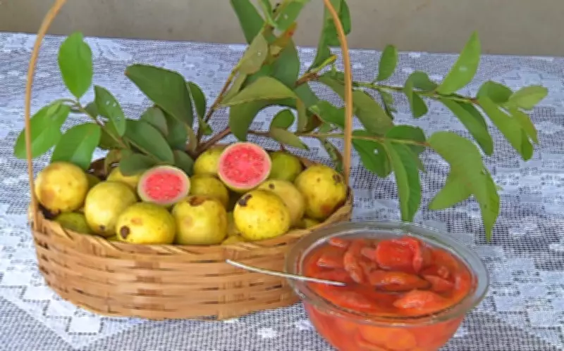 Sabores do Campo ensina receita de doce de goiaba para complementar renda familiar