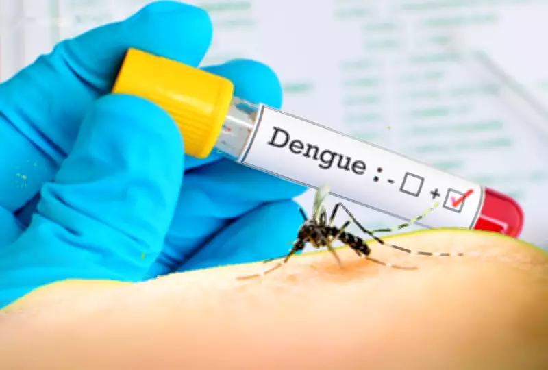 Santarém decreta emergência em saúde pública devido ao aumento alarmante de casos de dengue