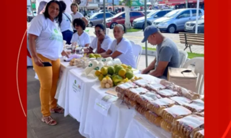 Santo Antônio de Jesus promove Feira de Empreendedorismo Feminino neste sábado