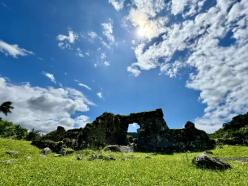 Santos oferece passeio gratuito por Jardim Botânico e Engenho dos Erasmos neste sábado