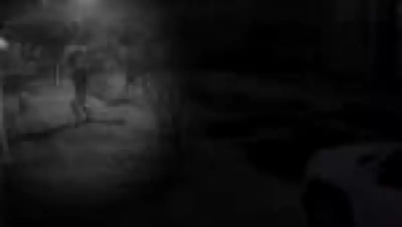 Seis pessoas são presas por agressão brutal a capivara no Rio de Janeiro