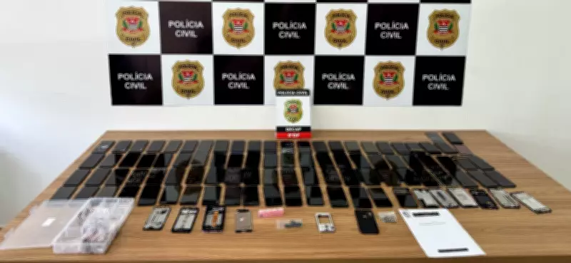 Senado aprova projeto que aumenta penas para furto e roubo de celulares e pets