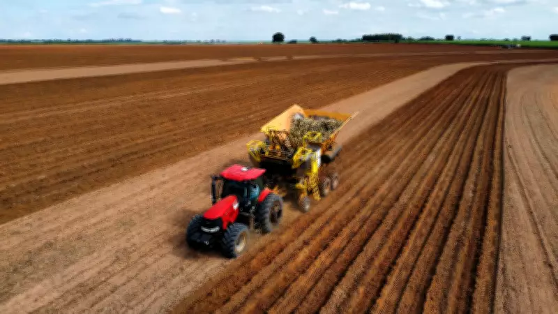 Setor de máquinas agrícolas projeta queda de 8% no faturamento para 2026