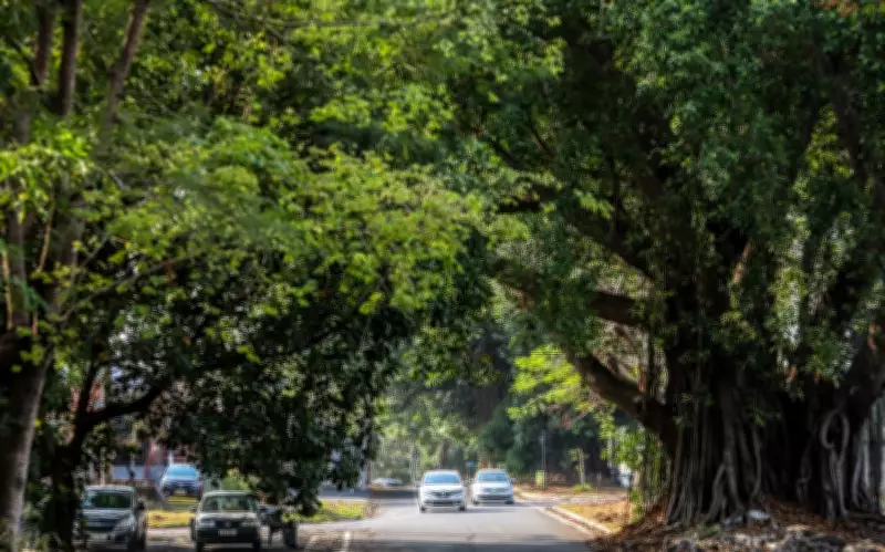 Setor Jaó em Goiânia foi construído por prisioneiros nazistas após acordo secreto, revela estudo
