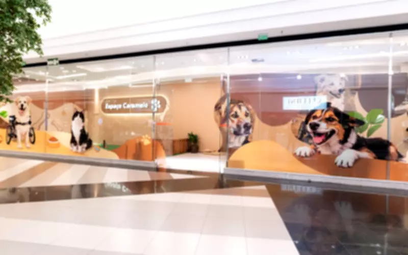 Shopping em Goiânia inaugura 'Espaço Caramelo' para pets com área de adoção responsável